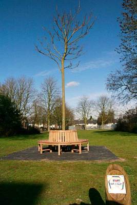 web-hemelboom-_mg_4966.jpg